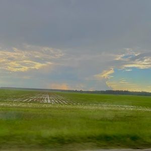 Meet your Posher, Sadie